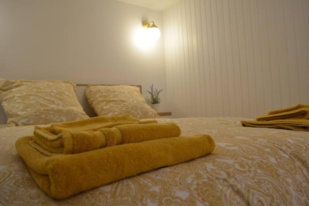 Charmant Appartement - Proche Chateau Cite Carcassonne Zewnętrze zdjęcie