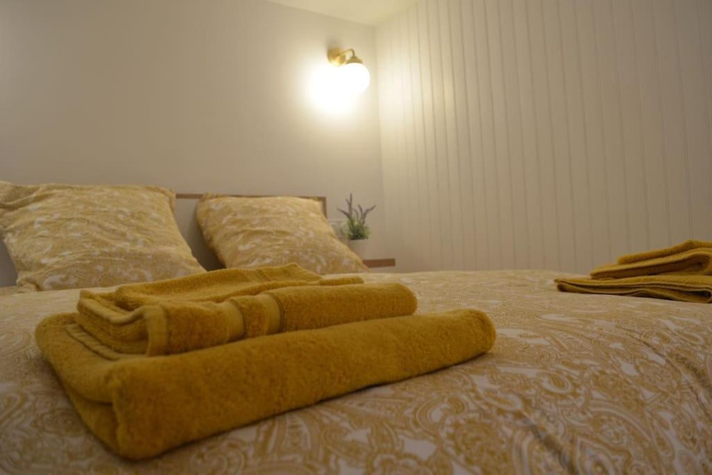 Charmant Appartement - Proche Chateau Cite Carcassonne Zewnętrze zdjęcie